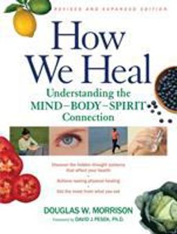 How We Heal, Revised and Expanded Edition Understanding the Mind-Body-Spirit Connection  9781556435799 Front Cover