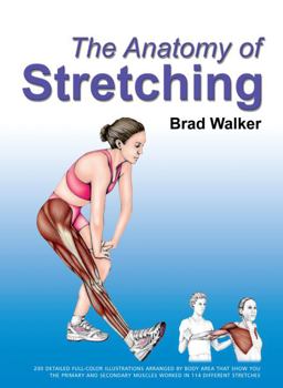 Anatomy of Stretching  9781556435966 Front Cover