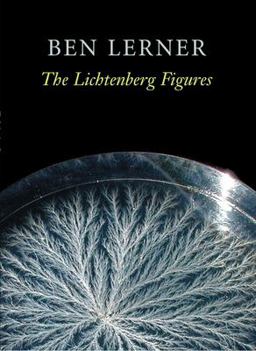 Lichtenberg Figures  9781556592119 Front Cover