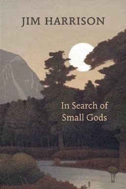 In Search of Small Gods  9781556593000 Front Cover