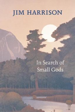 In Search of Small Gods  9781556593192 Front Cover
