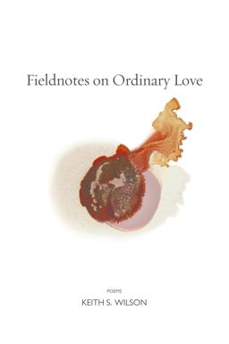 Fieldnotes on Ordinary Love  9781556595615 Front Cover