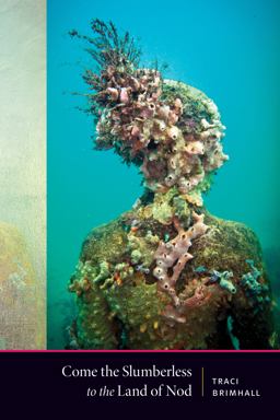 Come the Slumberless to the Land of Nod  9781556595806 Front Cover