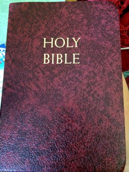 Study Bible-NABRE  9781556654268 Front Cover