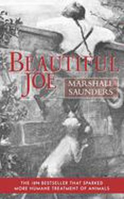 Beautiful Joe (Paperback)  9781557093073 Front Cover