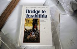 Bridge to Terabithia