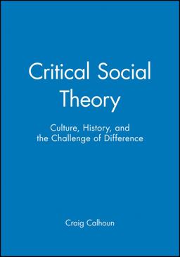 Critical Social Theory Culture, History, and the Challenge of Difference  9781557862884 Front Cover