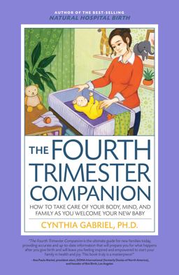 Fourth Trimester Companion How to Take Care of Your Body, Mind, and Family As You Welcome Your New Baby  9781558328877 Front Cover