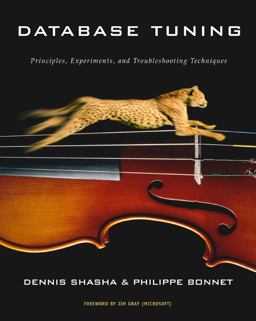 Database Tuning Principles, Experiments, and Troubleshooting Techniques  9781558607538 Front Cover