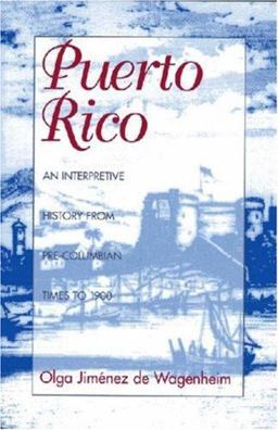 Puerto Rico An Interpretive History from Pre-Columbian Times To 1900  9781558761223 Front Cover