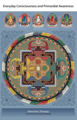 Everyday Consciousness and Primordial Awareness 3rd 9781559393799 Front Cover