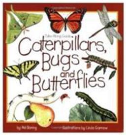 Caterpillars, Bugs, and Butterflies