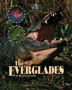 The Everglades
