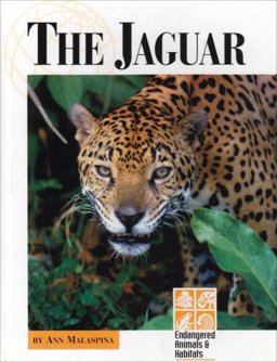 The Jaguar