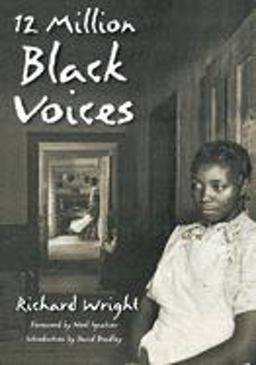 12 Million Black Voices  9781560254461 Front Cover