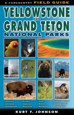 Field Guide to Yellowstone and Grand Teton National Parks Field Guide to Yellowstone and Grand Teton National Parks