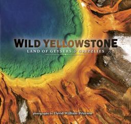 Wild Yellowstone