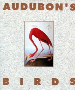 Audubon's Birds