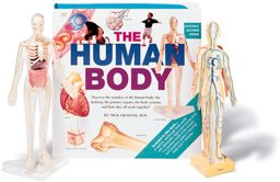 The Human Body Action Book