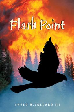Flash Point  9781561455775 Front Cover