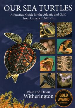 Our Sea Turtles A Practical Guide for the Atlantic and Gulf, from Canada to Mexico  9781561647361 Front Cover