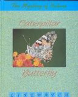 Caterpillar to Butterfly Caterpillar to Butterfly