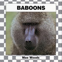 Baboons