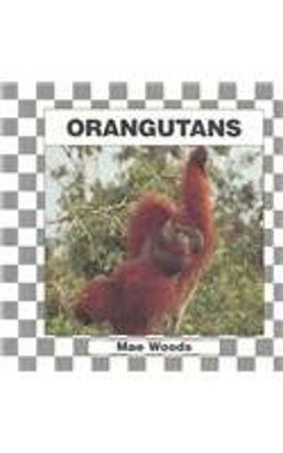 Orangutans