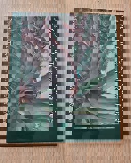 Here Is the Tropical Rainforest