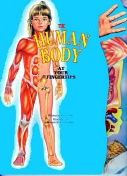 The Human Body