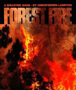 Forest Fire