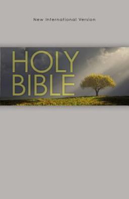 Niv Outreach Bible