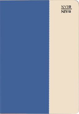 NVI / NIV Spanish/English Bible - DuoTone Leather NVI / NIV Spanish/English Bible - DuoTone Leather