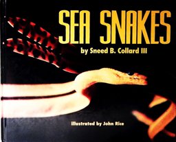 Sea Snakes