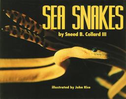 Sea Snakes