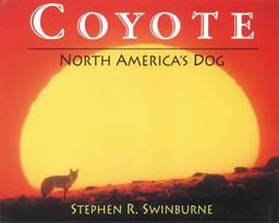 Coyote