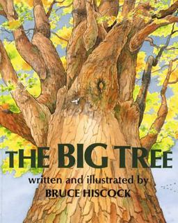 The Big Tree