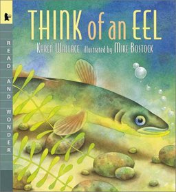 Think of an Eel