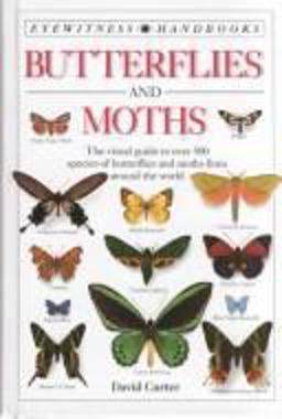 Butterflies and Moths