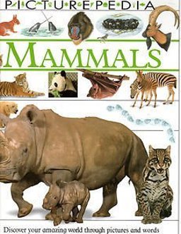 Mammals