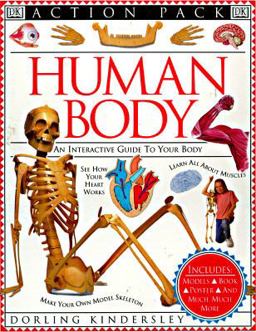 Human Body