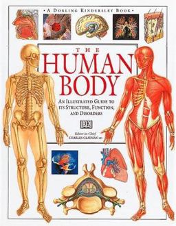 Illustrated Guide to the Human Body