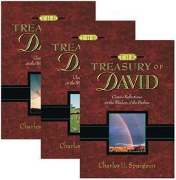 Treasury of David  9781565639454 Front Cover