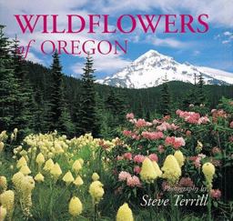 Oregon Wildflowers