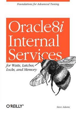 Oracle 8i Internal Services