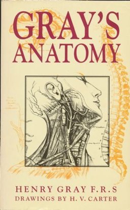 Gray's Anatomy 15th 9781566198219 Front Cover