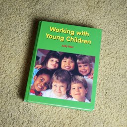 Working with Young Children 4th 9781566378222 Front Cover