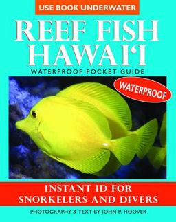 Reef Fish Hawaii