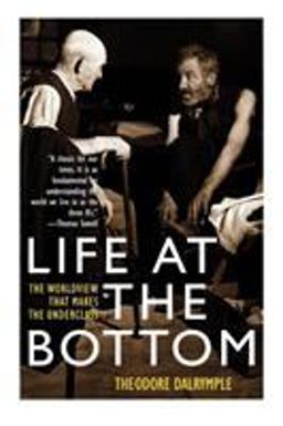 Life at the Bottom The Worldview That Makes the Underclass  9781566635059 Front Cover