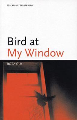Bird at My Window  9781566891110 Front Cover